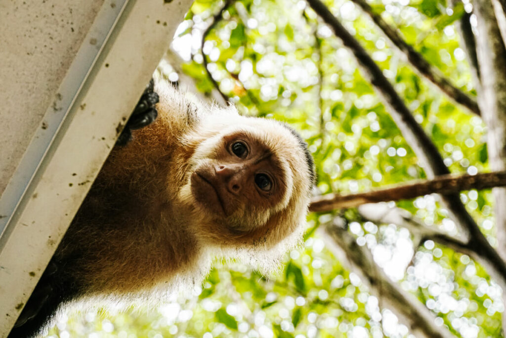 Costarica1